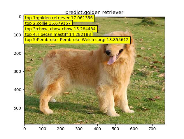 image-20210822110838640