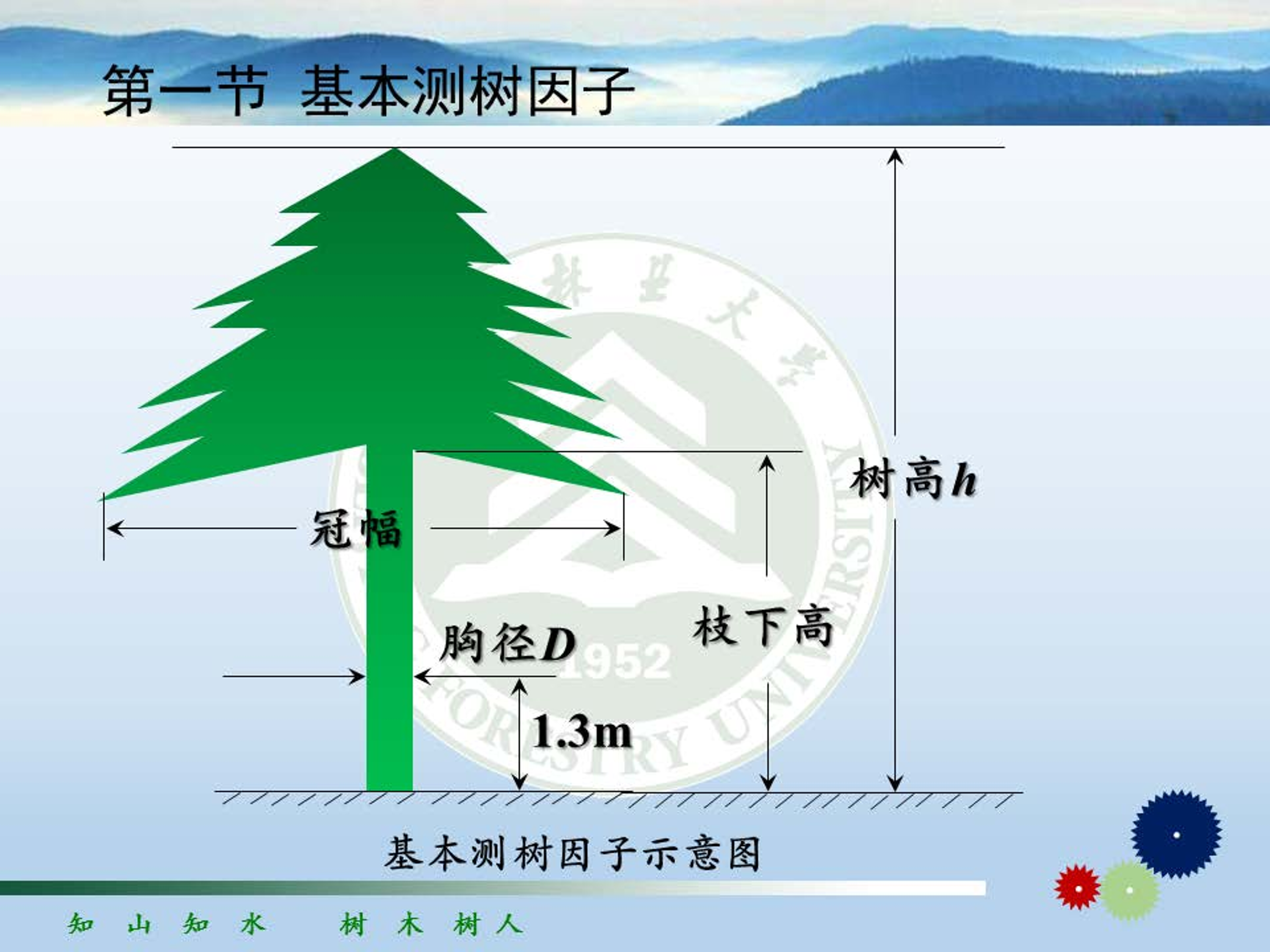 它的测量单位一般是平方米(m2,用符号g来表示(2.