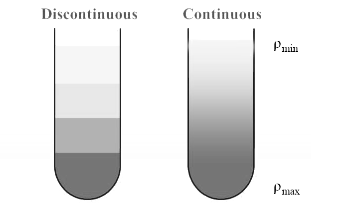 preparation_of_gradient_midia0.jpg