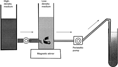 preparation_of_gradient_midia1