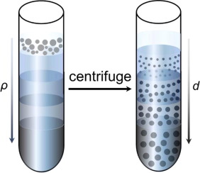 Density_Gradient_Ultracentrifugation0