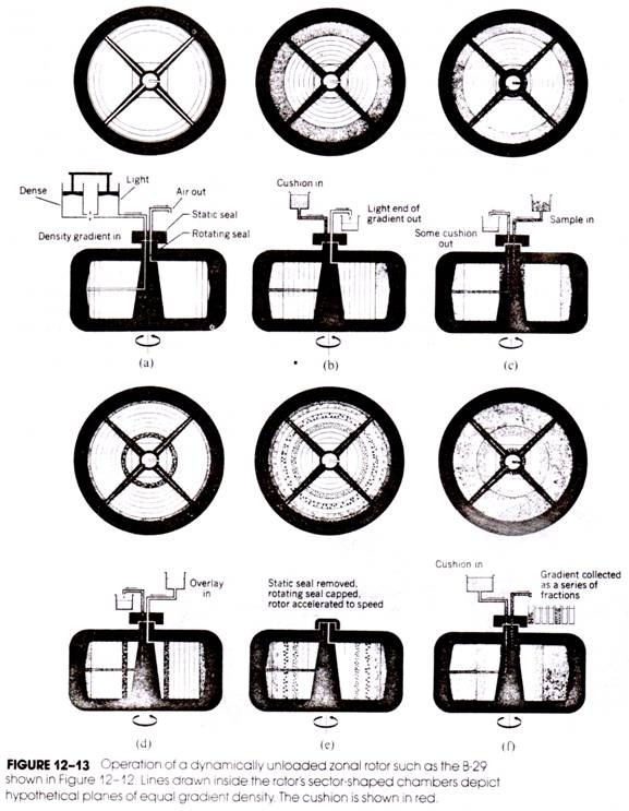 Dynamically_unloaded_rotor