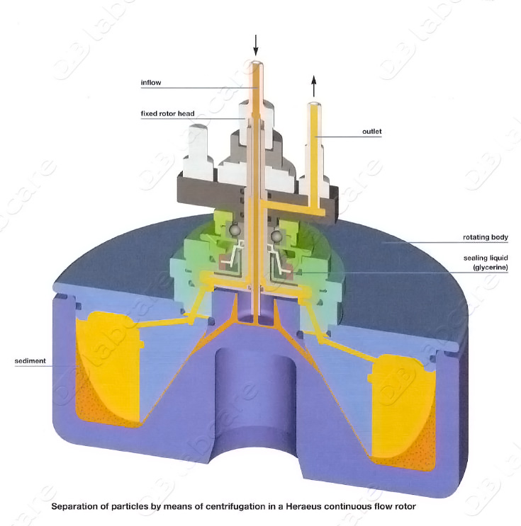 Continuous-Flow_rotor