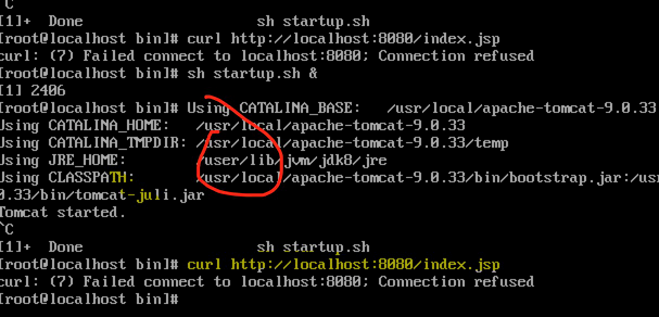 Linux localhost не работает