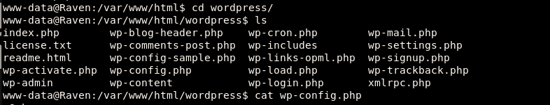 image-20210215164448742