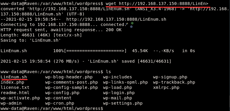 image-20210215165936570