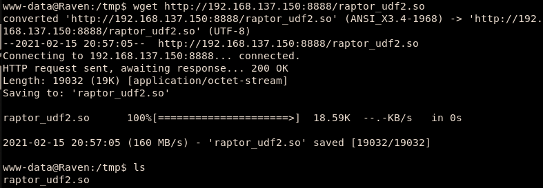 image-20210215175735275