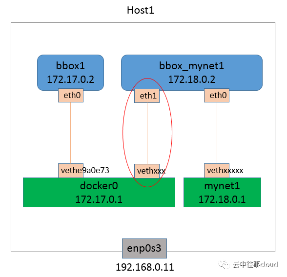 Docker-Bridge Network 03 自定义网络第2张