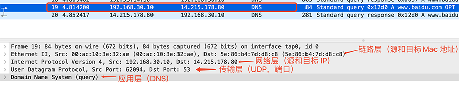 dns-18