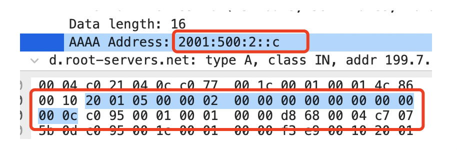 dns-25