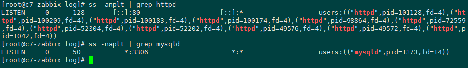 image-20200305104038443