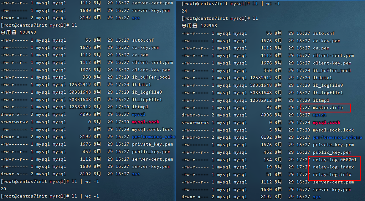 指向主节点后新增文件