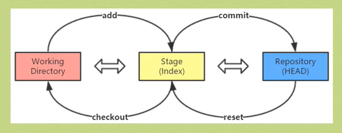 三棵树与彼此的关系
