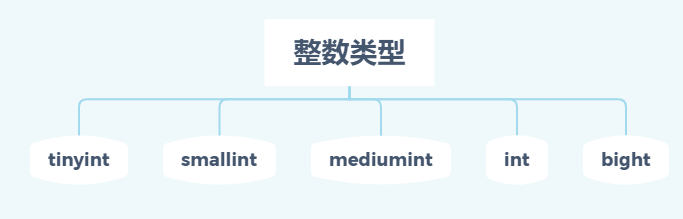 MySQL数据库常见的数据类型