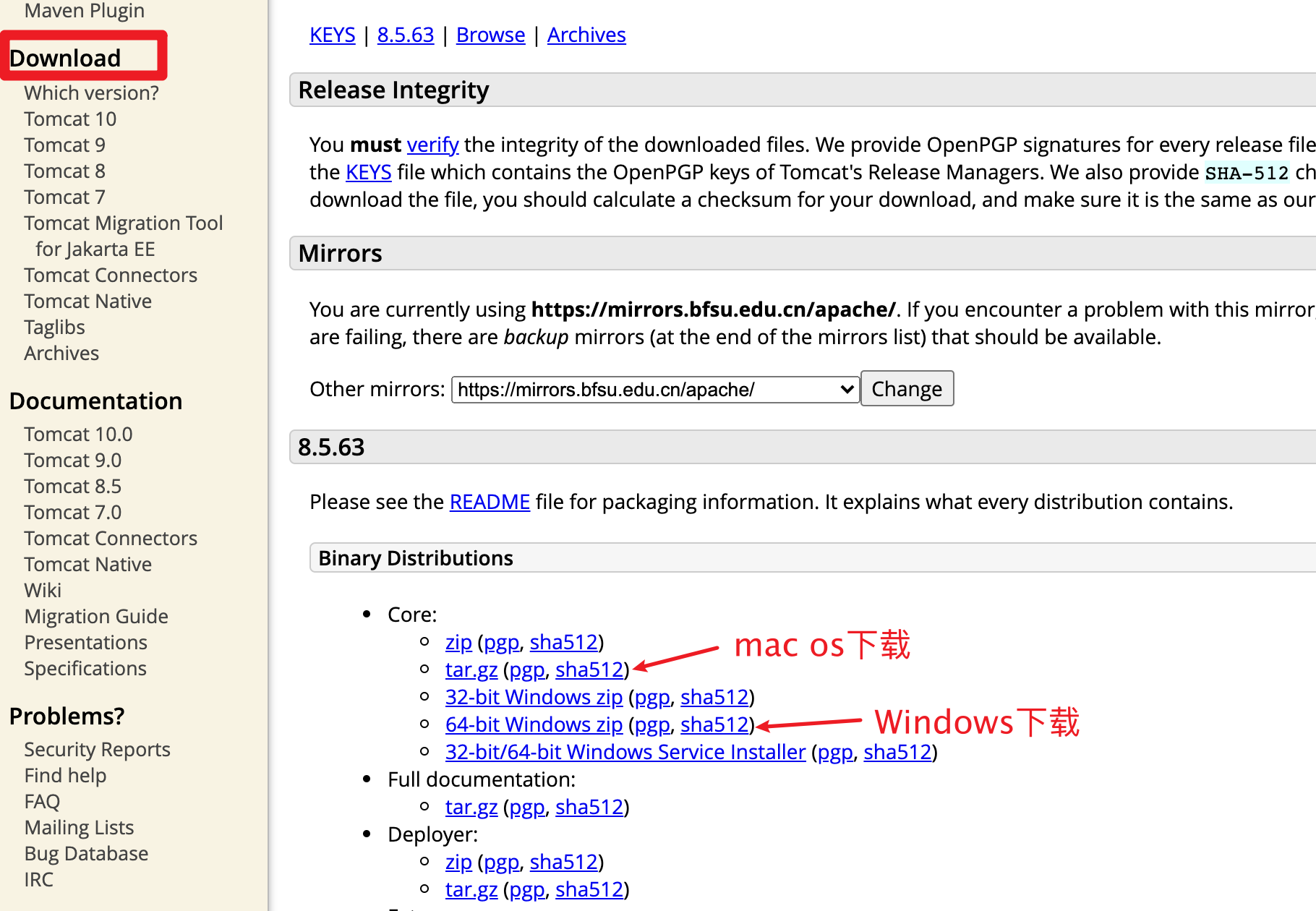 image-20210308121838084