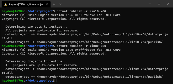 dotnet publish