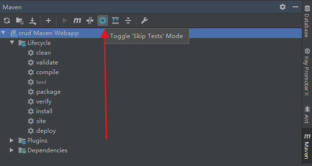通过Toggle 'Skip Tests' Mode跳过测试解决数据库插入两条数据的问题 