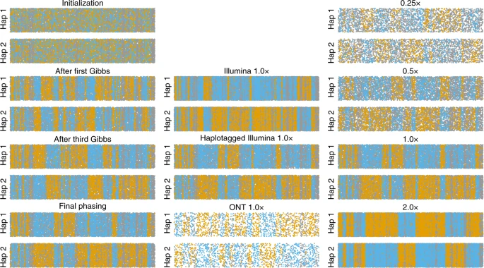 文献阅读 | Rapid genotype imputation from sequence with reference panels ...