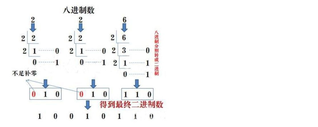 image-20210306114033032