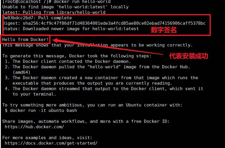 image-20200918151357337