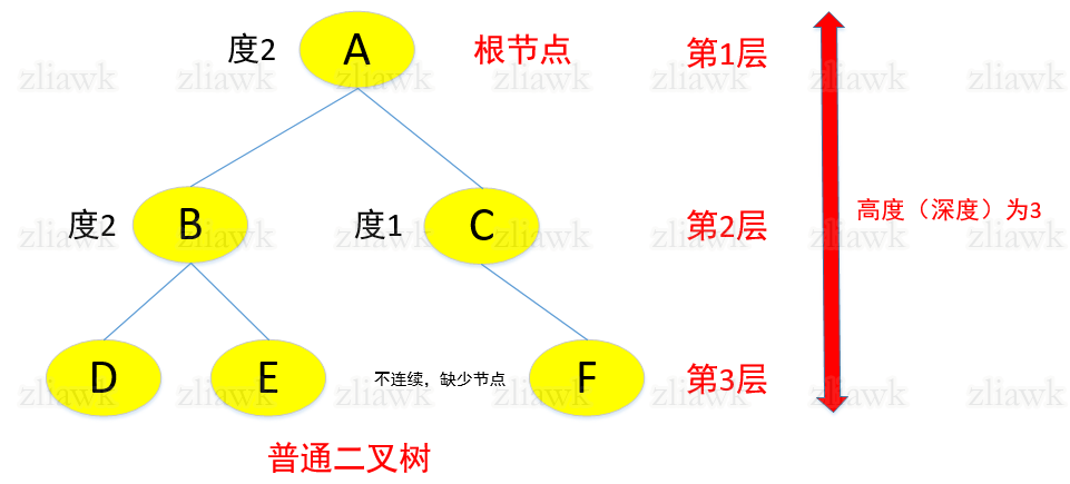 普通二叉树结构