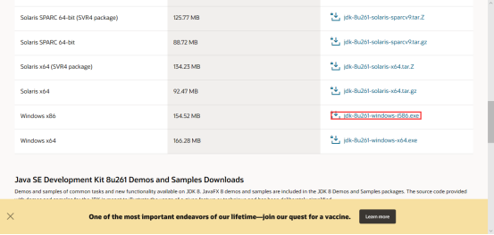 download java se development kit 8u291