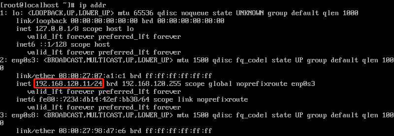 image-20201224191551909