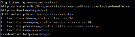 image-20210311171953944