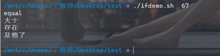 image-20211024213703715