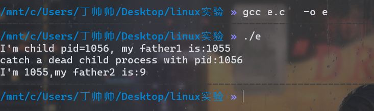 image-20211126194526844