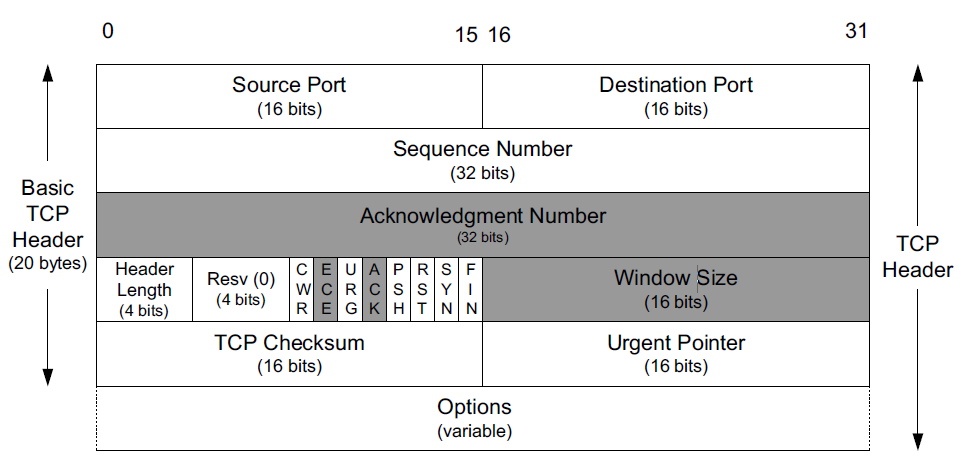 Заголовок TCP. TCP пакет. TCP IP Заголовок. Формат заголовка TCP сегмента.