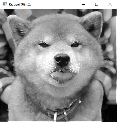 Robert锐化后图像
