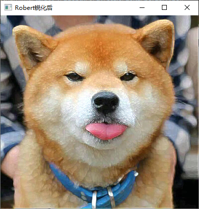Robert锐化后图像