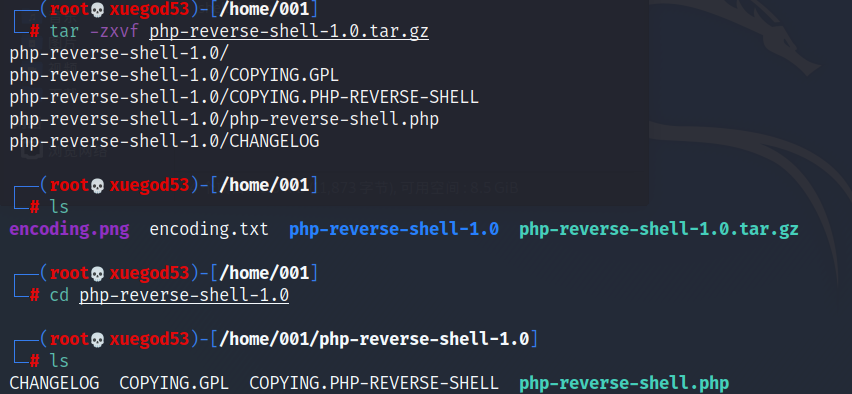 php reverse shell