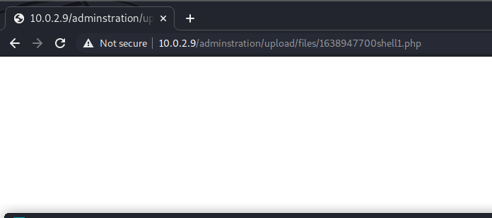 image-20211208152044676