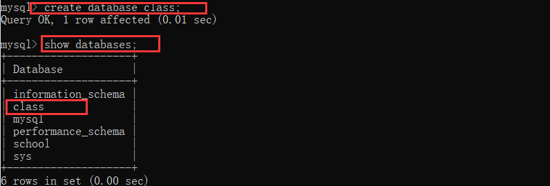 image-20210204221710644