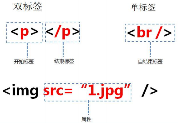 image-20210226103748134