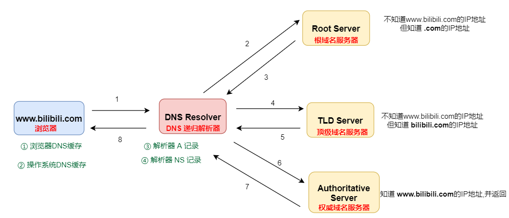 DNS查询