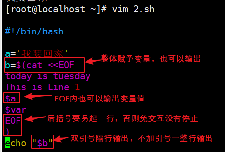 shell免交互_bash_06