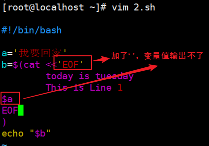 shell免交互_bash_08