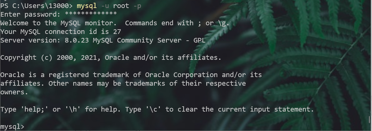 image-20210503153124481