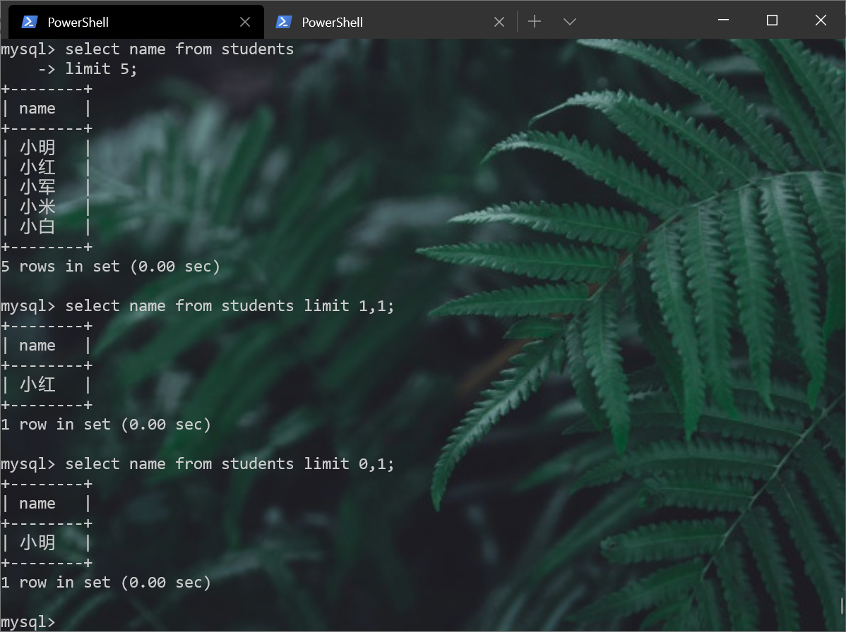 image-20210503160126803