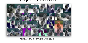 image-20211111142253999