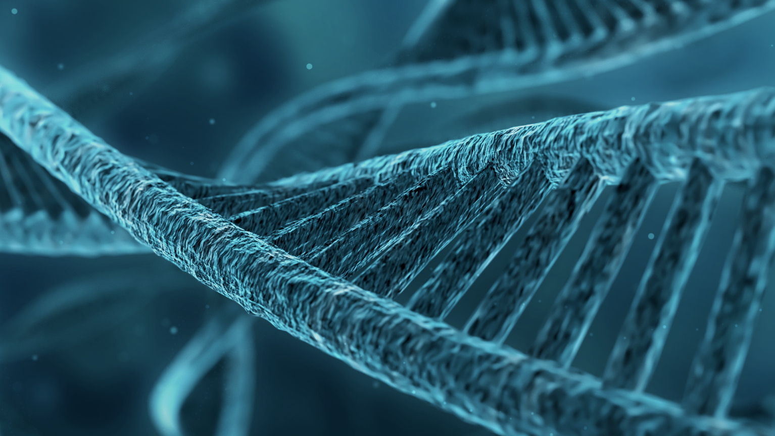 类模板与函数模板的区别