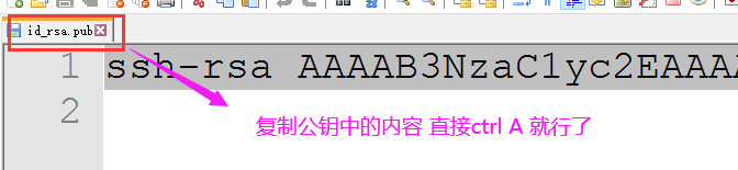 1 
S 
2 
—rsa AAAAB3NzaC1yc2E 
短 制 公 钥 中 的 内 容 直 接 ctrl A 就 行 了 