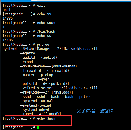 image-20210823224904413