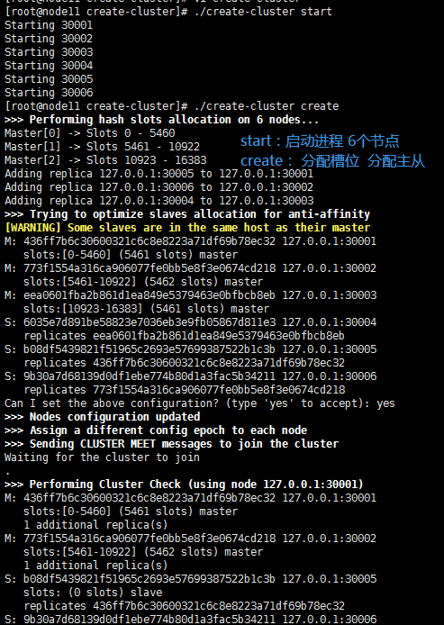 image-20210828215854846