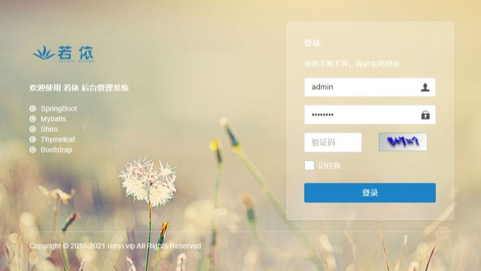 Ruoyi后台权限管理系统环境部署及使用